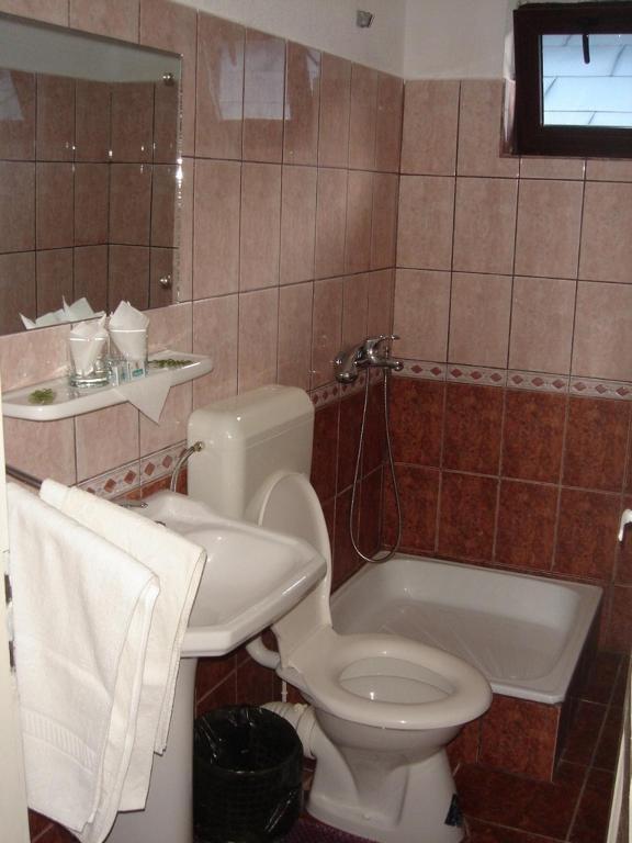 Ceahlău Vila Cristina חדר תמונה